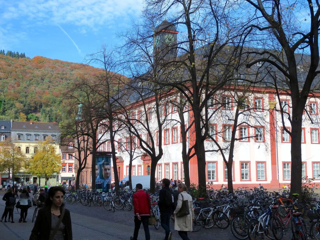 Heidelberg Üniversitesi